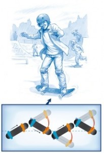 399-skate-image-1